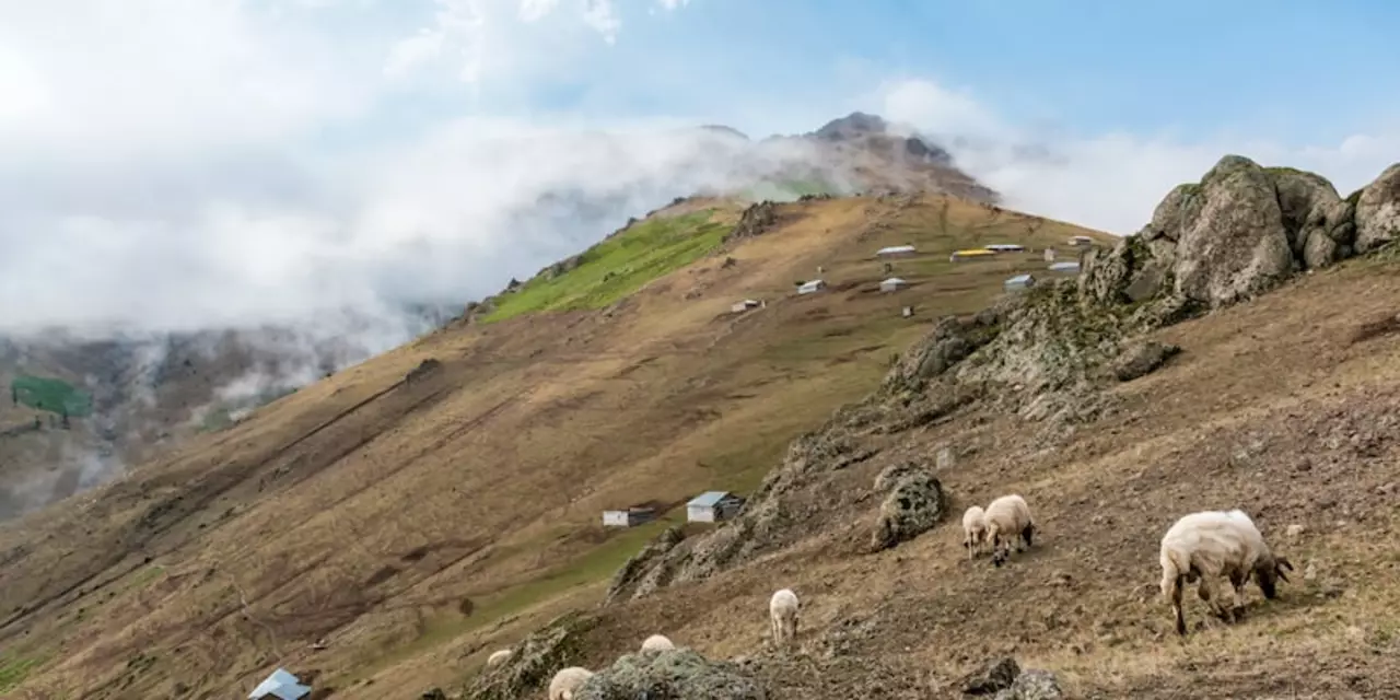 क्या अमित शाह एक कमजोर गृह मंत्री है?